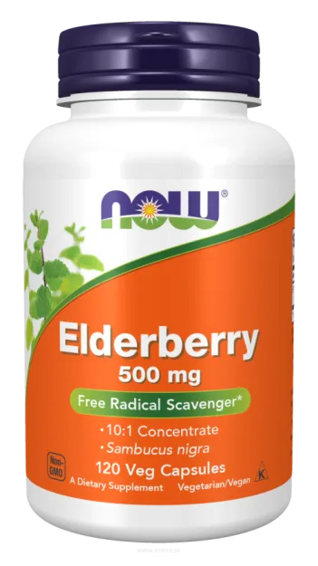 Now Foods Elderberry 500mg | 120 kapsułek