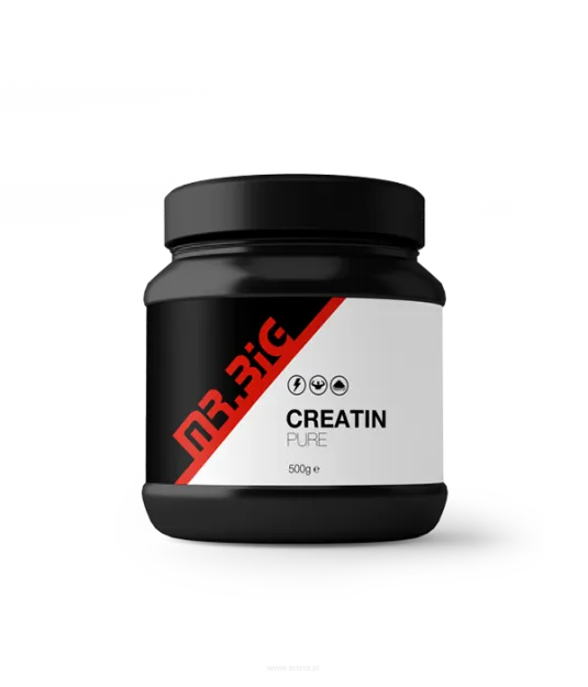 Mr.Big Creatine Pure powder | 500g