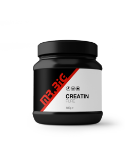 Mr.Big Creatine Pure powder | 500g