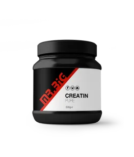 Mr.Big Creatine Pure powder | 500g
