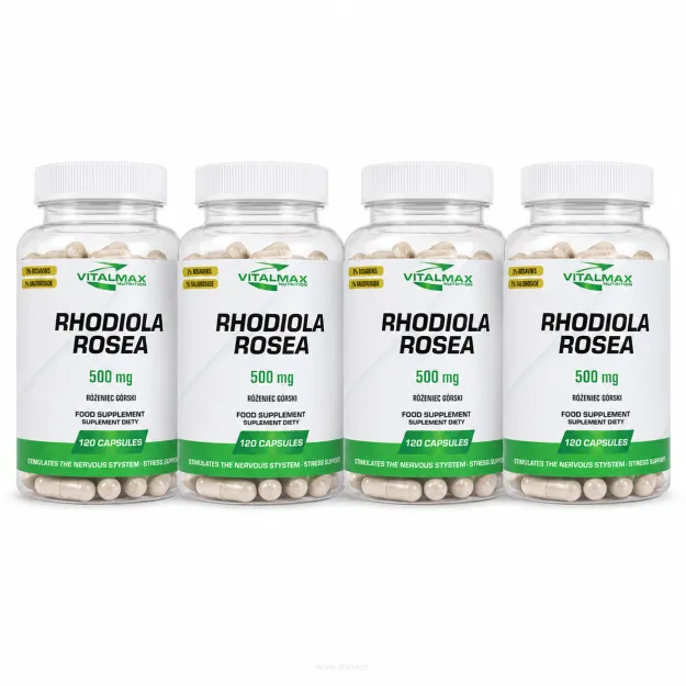 Vitalmax Rhodiola Rosea Różeniec górski | 480 kapsułek