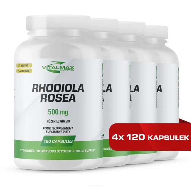 Vitalmax Rhodiola Rosea Różeniec górski | 480 kapsułek