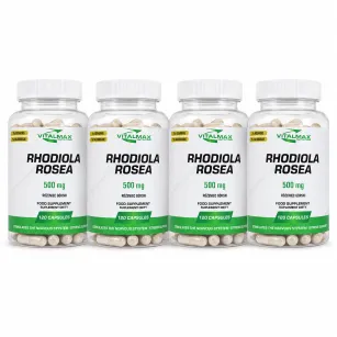 Vitalmax Rhodiola Rosea Różeniec górski | 480 kapsułek