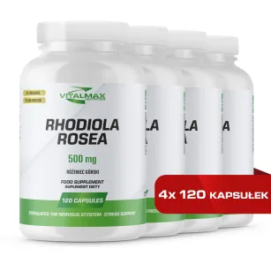 Vitalmax Rhodiola Rosea Różeniec górski | 480 kapsułek