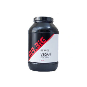 Mr.Big Vegan Protein | 450g