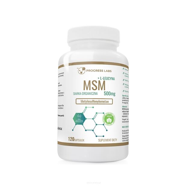 Progress Labs MSM + Leucyna 500mg Siarka organiczna | 120 kapsułek