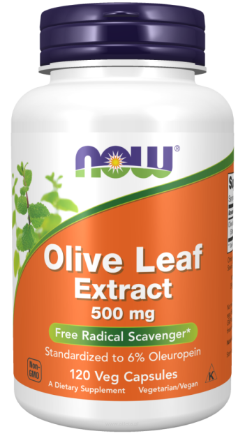 Now Foods Olive Leaf Extract 500mg | 120 kapsułek