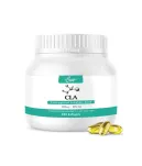 Vitalmax CLA 1000mg | 240 softgels - 2
