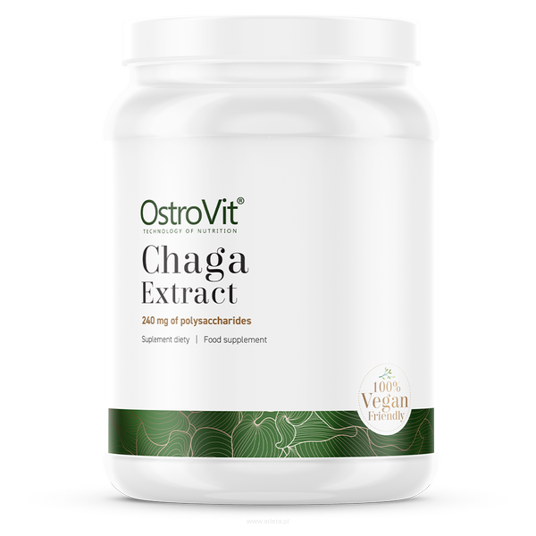 Ostrovit Chaga Extract | 50g