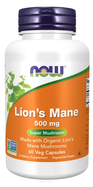 Now Lion's Mane 500mg | 60 vcaps