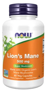 Now Lion's Mane 500mg | 60 vcaps
